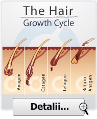 Hair Loss Growth