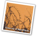 Microscopic Keratin Fibers