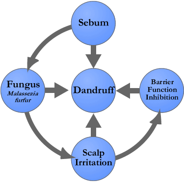 Onescalp for Thinning Hair