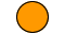 Peroxynitrite causes Hair Loss